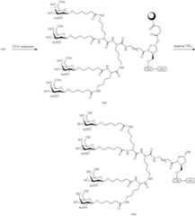 Figure US10793862-20201006-C00212