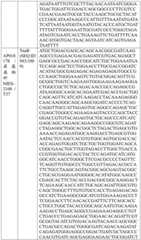 Figure BDA0004033970230005061