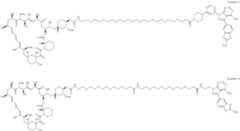 Figure US12048749-20240730-C00455