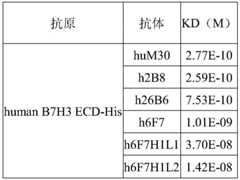 Figure BDA0002952241580000071