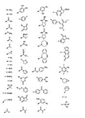 Figure JPOXMLDOC01-appb-C000011