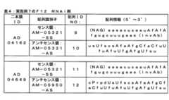 Figure 0007028865000085