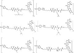 Figure PCTCN2022073822-appb-000196