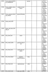 Figure imgf000088_0001