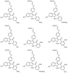 Figure imgf000055_0001