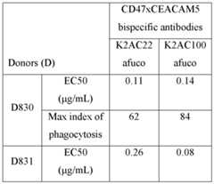 Figure imgf000054_0001