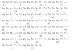 Figure 109115264-A0305-02-0239-98