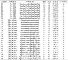 Figure BDA0002550837380000531