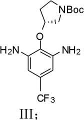 Figure BDA0000070030420000202