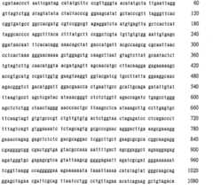 Figure 106137461-A0202-12-0231-63