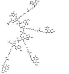 Figure 2023509872000068