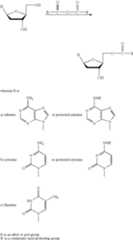 Figure US06875751-20050405-C00021