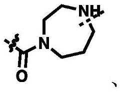 Figure FDA0002964098090000305