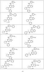 Figure imgf000026_0001