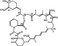 Figure C0282175200051