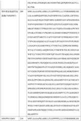 Figure BDA0004113681710000811