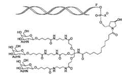 Figure 105140410-A0305-02-0055-16