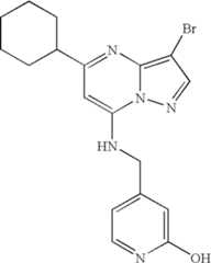 Figure US07119200-20061010-C01507