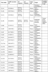 Figure imgf000093_0001