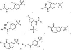 Figure FDA0003723571570000101