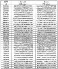 Figure imgf000161_0002