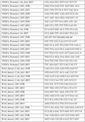 Figure imgf000043_0001