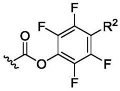 Figure BDA0003018192690002582