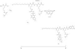 Figure US10172959-20190108-C00043