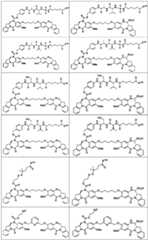 Figure BDA0003285627320000751