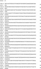 Figure BDA0002845367820000041