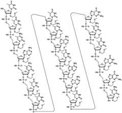 Figure BDA0003817829470000211