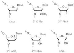 Figure imgf000033_0001
