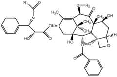 Figure imgf000005_0001
