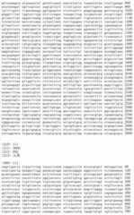 Figure IDA00002091897101221