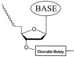 Figure imgf000419_0001
