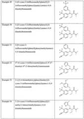Figure imgf000015_0001