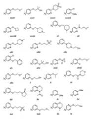 Figure 112016119396583-pat00013