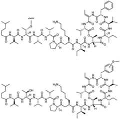 Figure imgf000055_0001