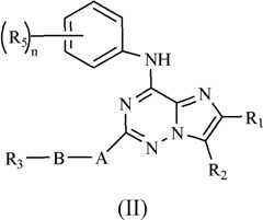 Figure FDA0000051855280000022