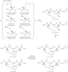 Figure US09522947-20161220-C00047