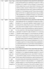 Figure imgf000106_0001