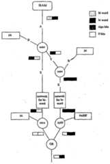 Figure imgf000111_0001