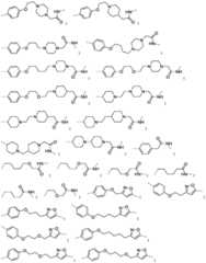 Figure BDA0003027048450002351