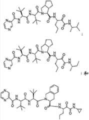 Figure BDA00002761909301421