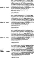 Figure BPA00001431277700531