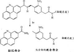 Figure A9719255400221