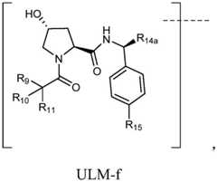 Figure FDA0003027048440000212