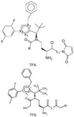 Figure imgf000149_0001