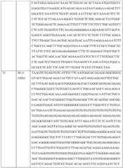 Figure imgf000146_0001