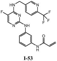 Figure BDA0001453135130003173